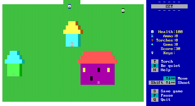 zzt_019