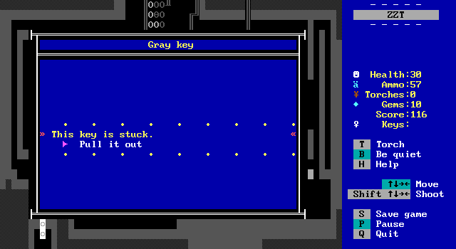 zzt_071